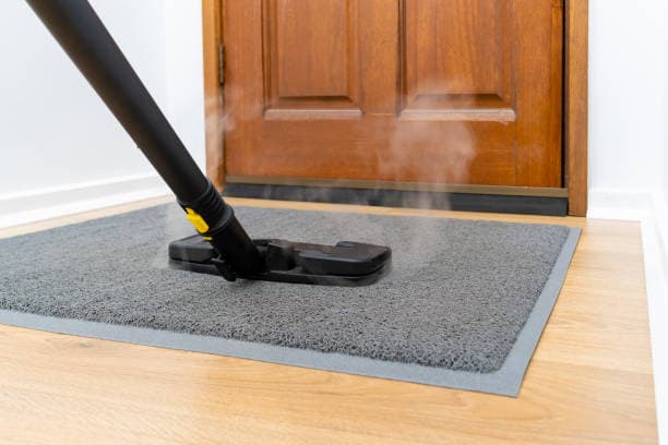 Pure Clean, Zero Chemicals – Experience the Power of Steam!