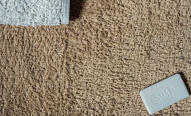 Cleaner Rugs, Healthier Home – Trust the Experts!