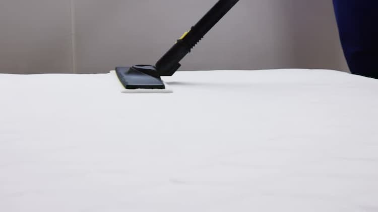 Steam or Dry? Choose the Right Carpet Cleaning Method!
