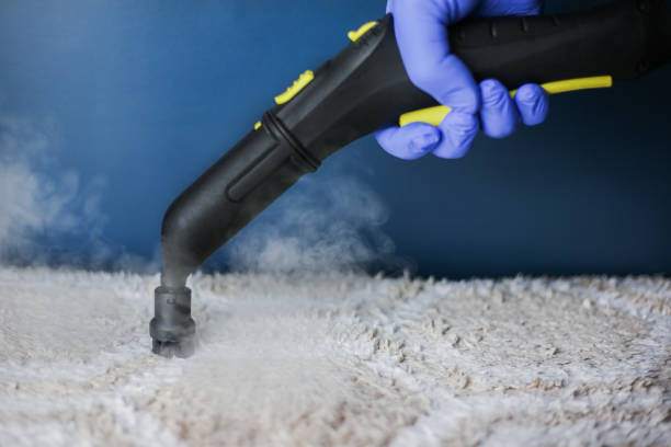 steam cleaning cover
